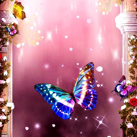 🔥Posh Ambassador🔥 - Picture 3 of 3